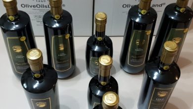 Photo of OliveOilsLand® – Top 9 Health Benefits of Olive Oil