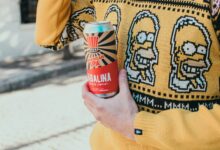 The Rise of Canned Craft Beers: A Global Trend in the Beverage Industry